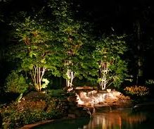 Backyard Landscape Lighting